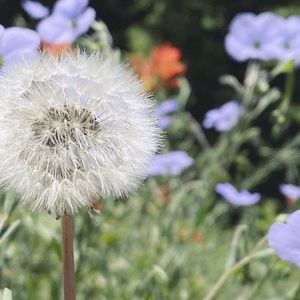 Meet your Posher, Heidi